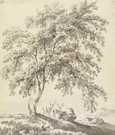 Studio di Alberi con Cervi (Paesaggio) da George Barret