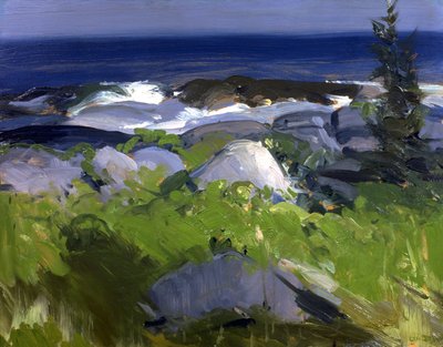 Costa ricoperta di viti - Isola di Monhegan da George Bellows
