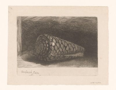 La conchiglia da George Bickham (II)