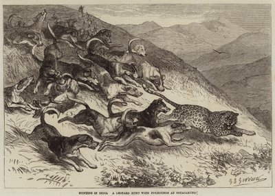 Caccia in India, una caccia al leopardo con foxhound a Ootacamund da George Bouverie Goddard