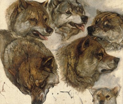 Studi di teste di husky da George Bouverie Goddard