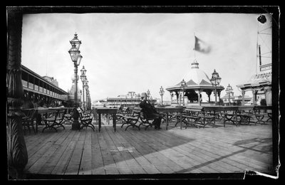 Cavi e Mucca di Ferro, Coney Island, Brooklyn, c.1872-87 da George Bradford Brainerd