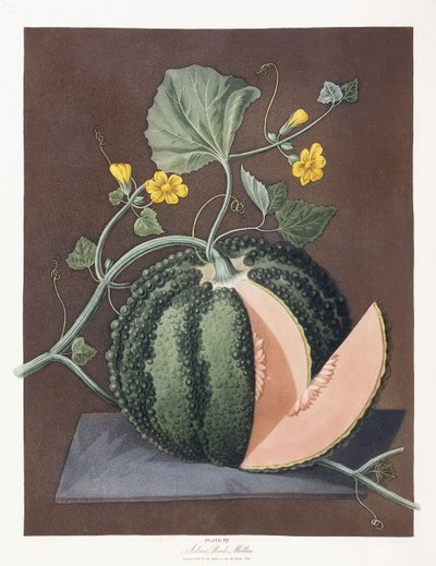 Melone d