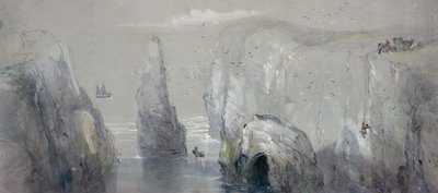 Veduta di Flamborough Head, che mostra un gruppo di uomini che raccolgono uova di gabbiano da George Bryant Campion