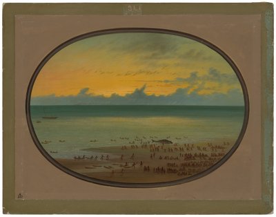 Una balena a terra - Klahoquat da George Catlin