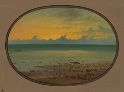Una balena a riva - Klahoquat da George Catlin