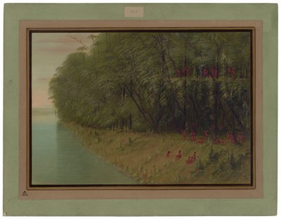 Una foresta amazzonica - Guardando a riva da George Catlin