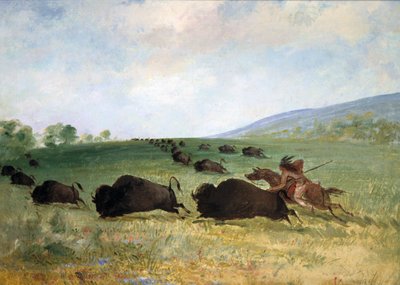 Un indiano Osage che ferisce un bufalo da George Catlin