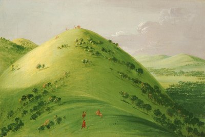 Bellissima prateria di Bluffs, Alto Mississippi da George Catlin