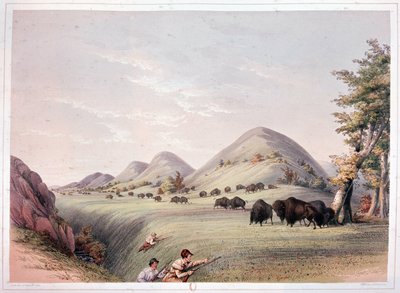 Caccia al Bisonte da George Catlin