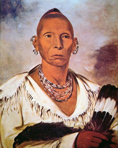 Falco Nero da George Catlin