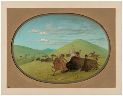Caccia al bufalo - Tori che proteggono i vitelli da George Catlin
