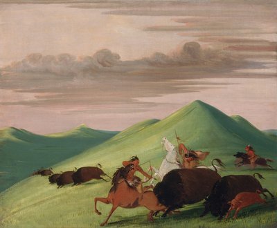 Buffalo Chase, toro che protegge una mucca e un vitello da George Catlin