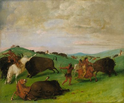 Buffalo Chase, tori che combattono con uomini e cavalli da George Catlin