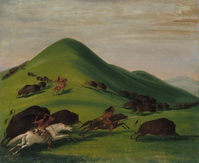 Caccia al bufalo sulle scogliere della prateria, 1832-1833 da George Catlin