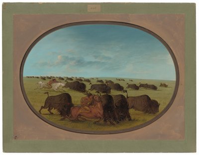 Caccia al bufalo, con incidenti da George Catlin