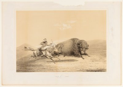 Caccia al bufalo, inseguimento n. 5 da George Catlin