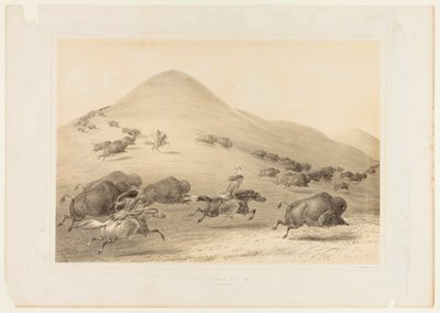 Caccia al bufalo, Chase--no. 6 da George Catlin