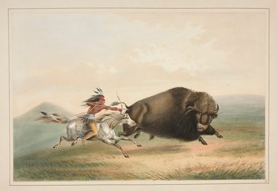 Caccia al bufalo, inseguimento, tav. 5 dal Portfolio degli Indiani d