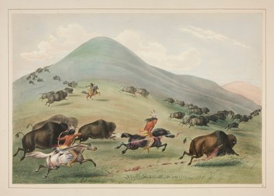 Caccia al bufalo, Inseguimento, tav. 6 dal Portfolio degli Indiani del Nord America da George Catlin