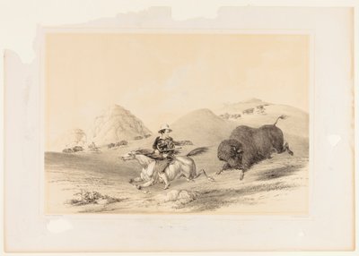 Buffalo Hunt Chasing Back no. 12 da George Catlin