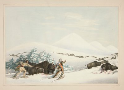 Caccia al bufalo con racchette da neve, tav. 15 dal portafoglio degli Indiani d
