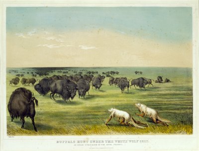  da George Catlin