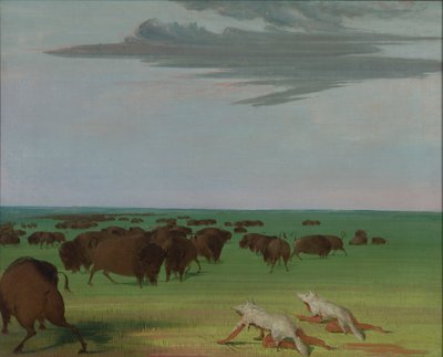 Caccia al bufalo sotto la maschera di pelle di lupo, 1832-1833 da George Catlin