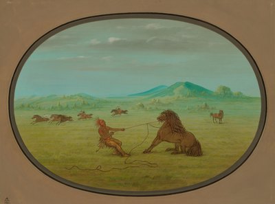 Cattura di cavalli selvaggi - Pawnee, 18611869 da George Catlin