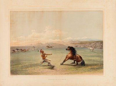 Catturare il cavallo selvaggio - n. 4 da George Catlin