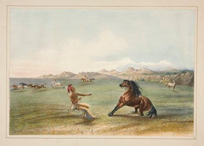 Catturare il cavallo selvaggio, pl. 4 dal Portfolio degli Indiani del Nord America da George Catlin