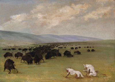 Catlin e la sua guida indiana si avvicinano ai bufali sotto le pelli di lupo bianco da George Catlin