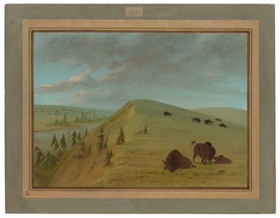Scogliere di cedro da George Catlin