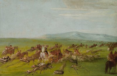 I Comanche spostano il campo, combattimento tra cani in arrivo da George Catlin