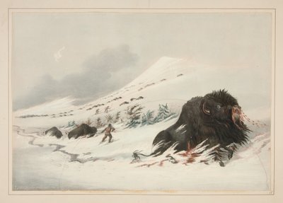 da George Catlin