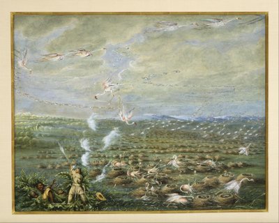 da George Catlin