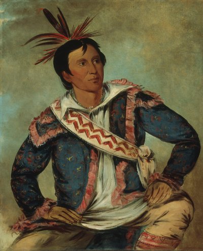Há-tchoo-túc-knee, tartaruga azzannatrice, un meticcio da George Catlin