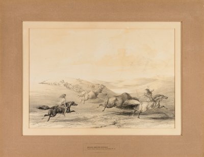 Indiani a caccia di bufali - n. 29 da George Catlin