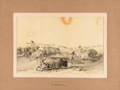 Indiani a caccia di bufali - n. 7 da George Catlin