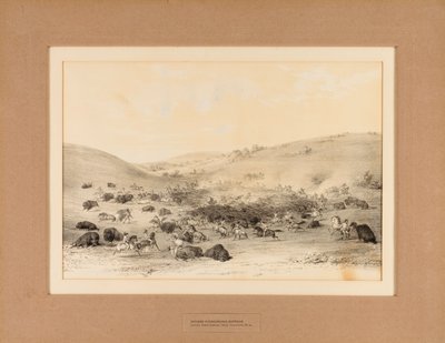 Indiani che circondano Buffalo - n. 9 da George Catlin