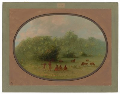 Indiani e cavalli nella foresta da George Catlin