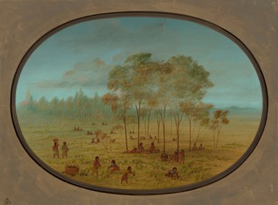 Indiani Kiowa che raccolgono uva selvatica, 1861-1869 da George Catlin
