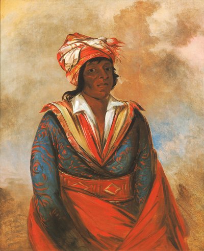 Kút-tee-o-túb-bee, come ha ucciso, un noto coraggioso da George Catlin