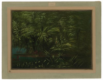 Foresta Lussureggiante sulla Riva dell