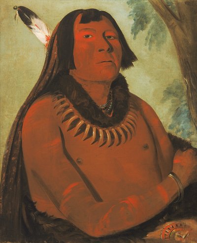 Mah-táhp-ta-a, si precipita nel mezzo, un coraggioso da George Catlin