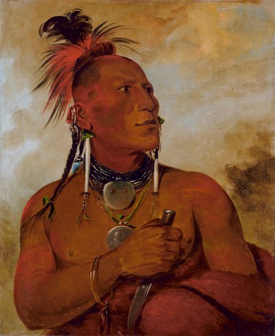 Meach-o-shín-gaw, Piccolo Orso Bianco, un coraggioso distinto da George Catlin