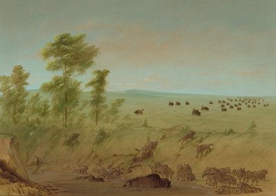 Bufalo impantanato e lupi, 1861-1869 da George Catlin