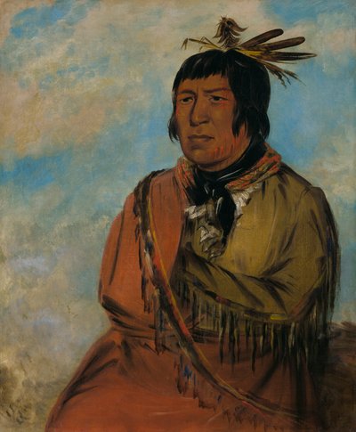Na-pów-sa, Orso che viaggia di notte, un capo, 1830 da George Catlin