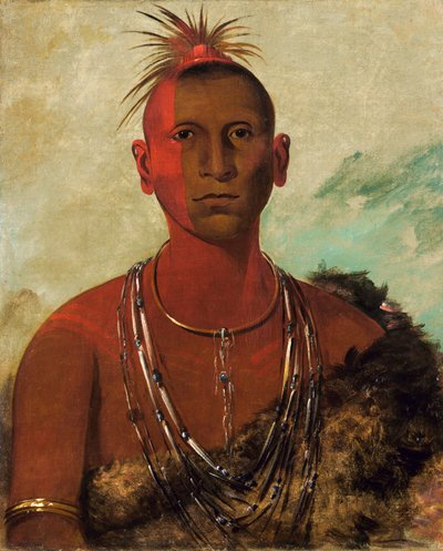 Náh-se-ús-kuk, Tuono turbinante, figlio maggiore di Falco nero da George Catlin