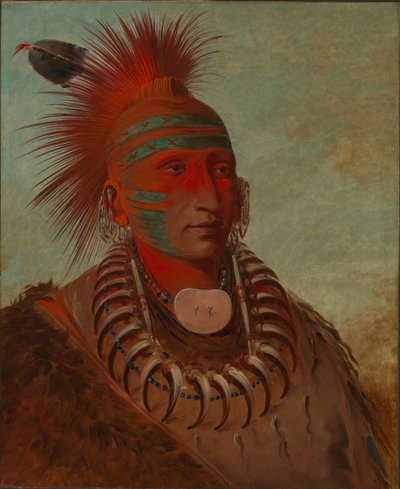 No-ho-mun-ya, Colui che non presta attenzione da George Catlin